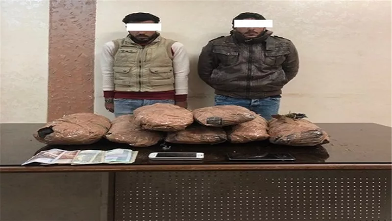 ضبط 