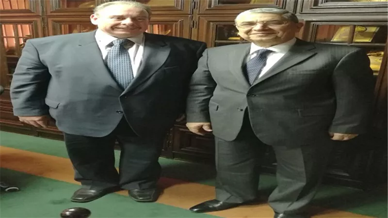 وزير الكهرباء يستقبل سفير رومانيا بالقاهرة 
