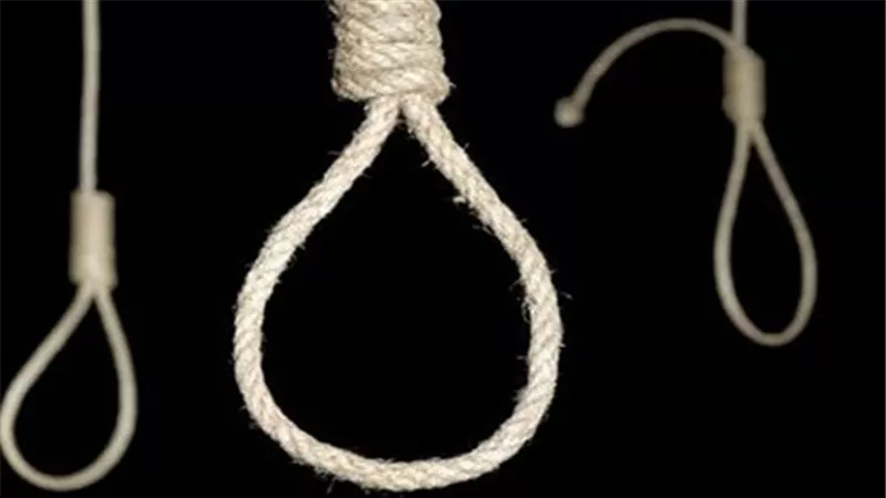  الإعدام والمؤبد لعاطلان قتلا مزارع شاهدهما يسرقان سيارة بالقليوبية
