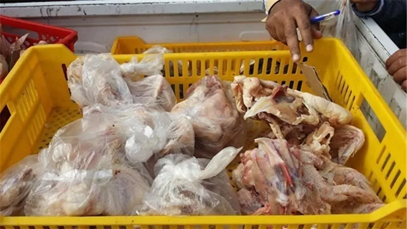 ضبط أسماك وفراخ فاسدة بحملة بمدينة الخانكة