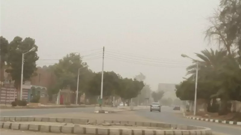 أزمة مناخية في الوادي الجديد.. ماذا حدث؟