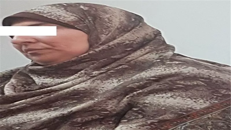 ضبط سيدة أنشأت صفحات وهمية على مواقع التواصل الإجتماعى للنصب والإحتيال 