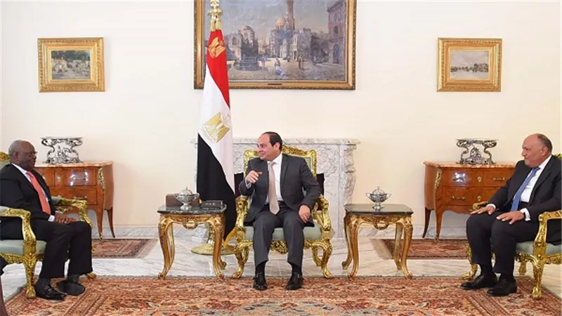 السيسي يستقبل عضو لجنة الشخصيات البارزة التابعة للآلية الأفريقية لمراجعة النظراء