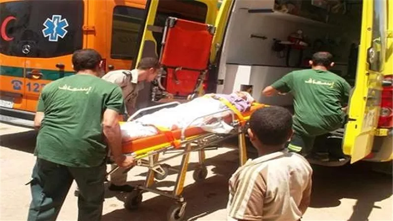 مصرع وإصابة ١٢ شخص في حادث تصادم بالقليوبية