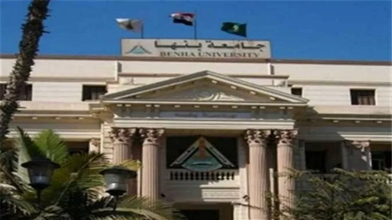 التدريب الإبداعي في مؤتمر بجامعة بنها