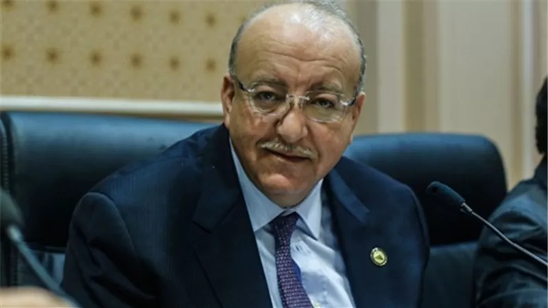 علاء والى عن الانتخابات الرئاسية للمصريين بالخارج: مفخرة تاريخية