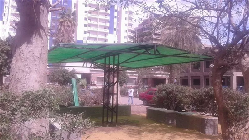 بالصور.. 