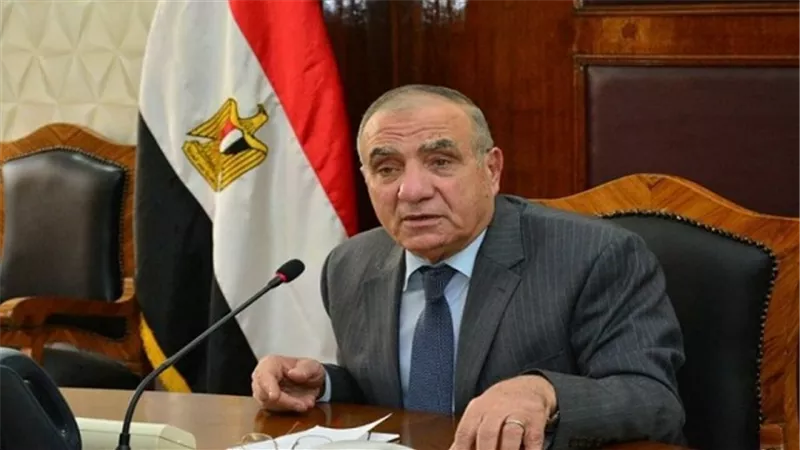 وزير التنمية المحلية: انتهاء كافة استعدادات الوزارة للانتخابات الرئاسية 