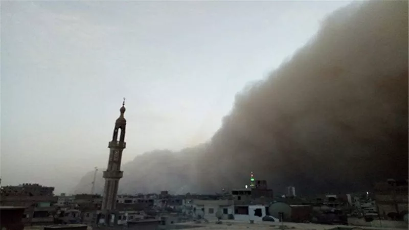 منسق حملة 