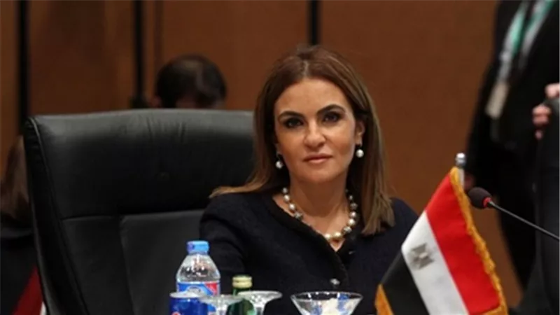 سحر نصر: الإعداد لمشاريع تخص النقل العام وإشراك القطاع الخاص 