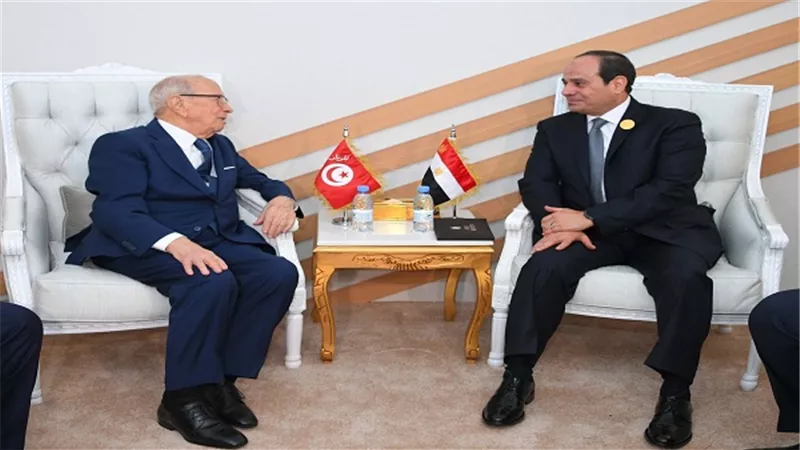 السيسي يلتقي على هامش القمة العربية بالرئيس التونسي