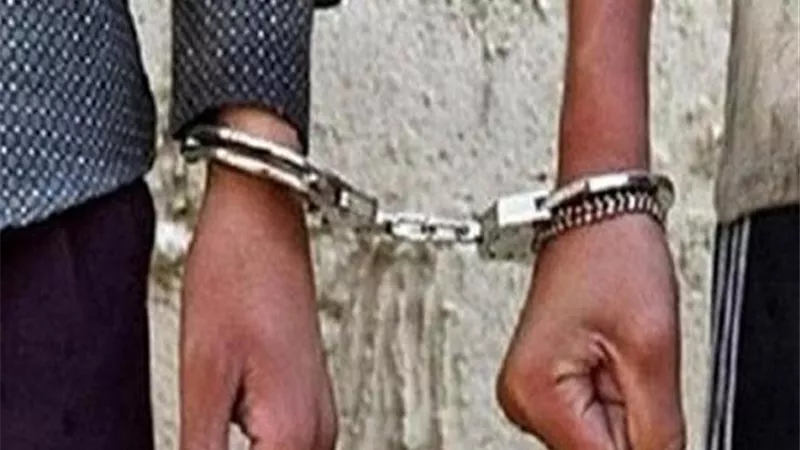  القبض على عاطلين بحوزتهما سلاح ناري وأقراص مخدرة بالقليوبية