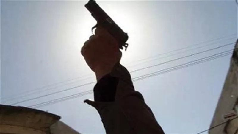 إصابة طفلين برش خرطوش بالخطا في حفل عرس بالقليوبية