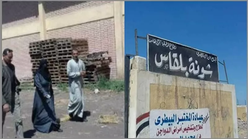 وكيل وزارة الزراعة يتفقد صوامع القمح بسبب الطقس السيئ بالدقهلية