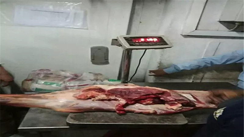 ضبط كميات من اللحوم والمواد الغذائية وياميش رمضان فاسدة بالقليوبية
