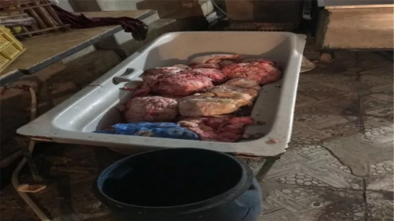 ضبط 3 طن سلع غذائية داخل مجزر غير صالحة للاستهلاك الادمى بالسلام