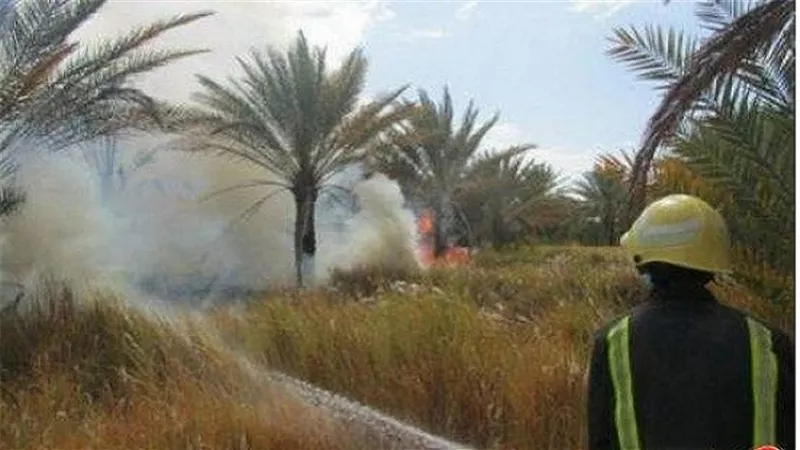 السيطرة على حريق بأرض زراعية بها أسلحة نارية بالخانكة