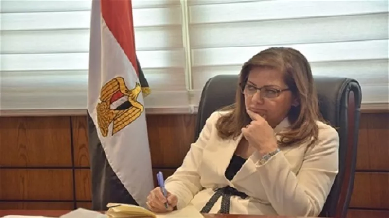 وزيرة التخطيط تكلف شريفة شريف بإدارة المعهد القومى للإدارة