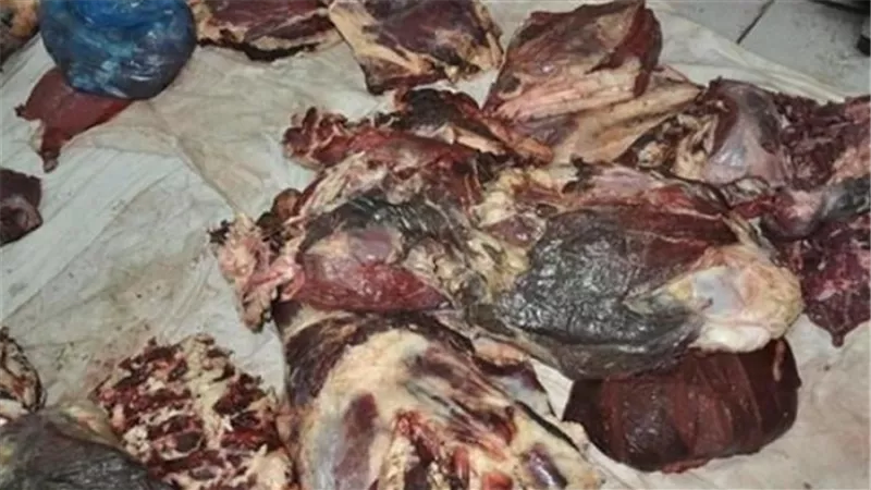 ضبط 1.160 طن سلع غذائية منتهية الصلاحية داخل مجزر بالبحيرة