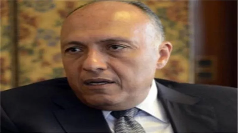 وزير الدفاع وسامح شكرى وزير الخارجية يغادران إلى روسيا الاتحادية في زيارة رسمية