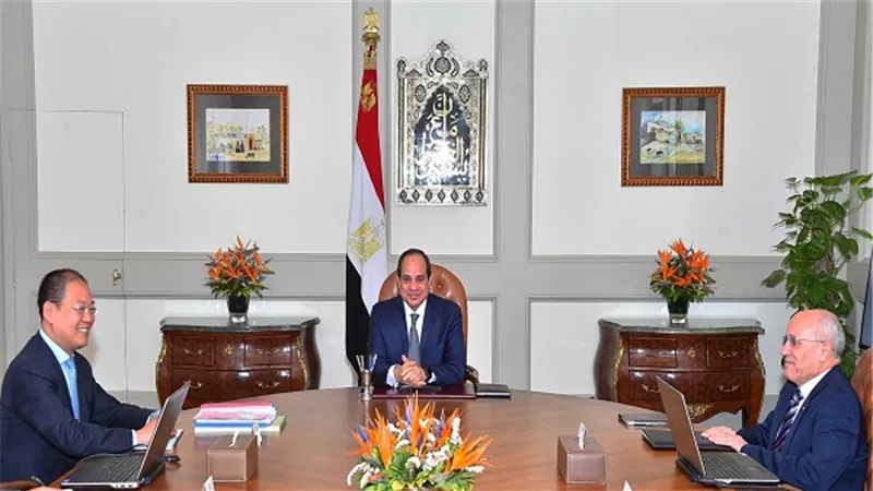 السيسي يستقبل نائب رئيس مجموعة شركات 