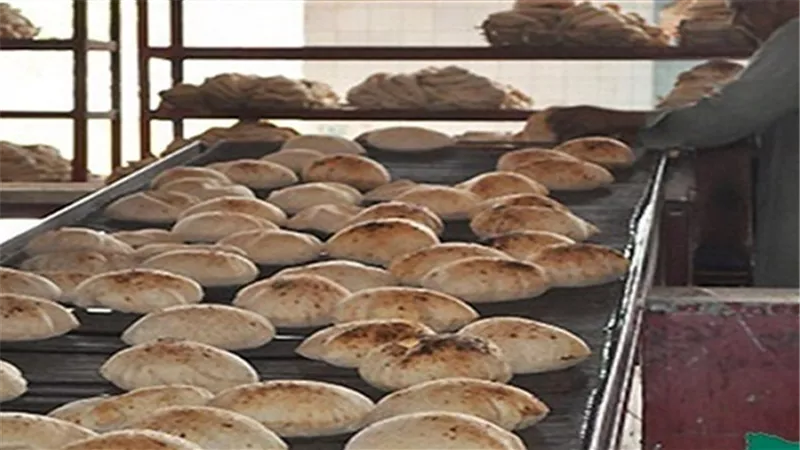 تحرير 10 محاضر تموينية بكفر شكر