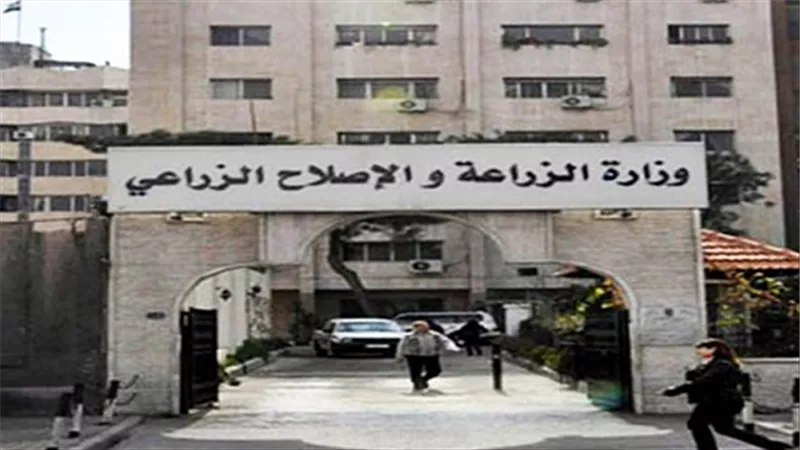 لأول مرة.. 