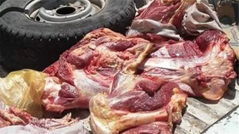 ضبط 582 كيلو لحوم غير صالحة للإستخدام الآدمي بشبرا الخيمة