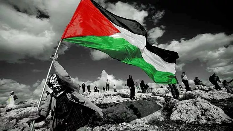 تصريح جديد من مصر بشأن القضية الفلسطينية.. ماذا قالت؟