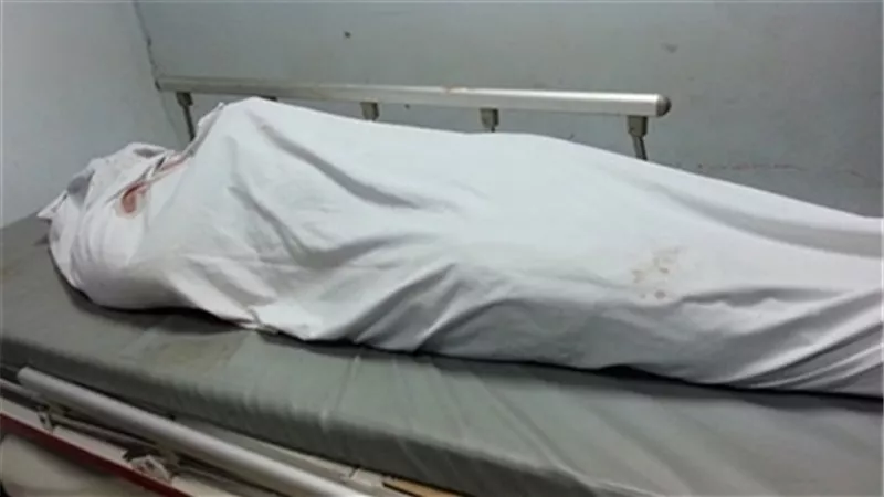 عامل يقتل نقاش بسبب إكراه والدته على عقد زواج عرفي بالخانكة