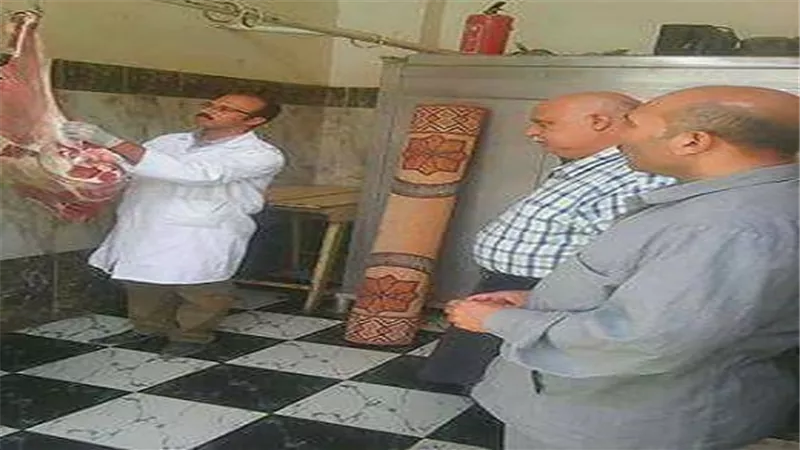 بالصور.. حملات مكثفه بطب بيطري السنبلاوين بالدقهلية