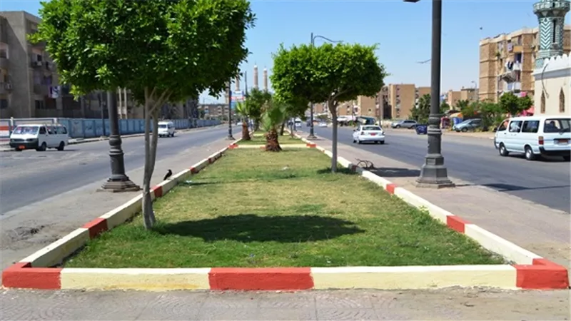 تطوير وتجميل الجزيرة الوسطي بطريق ناصر بالسويس