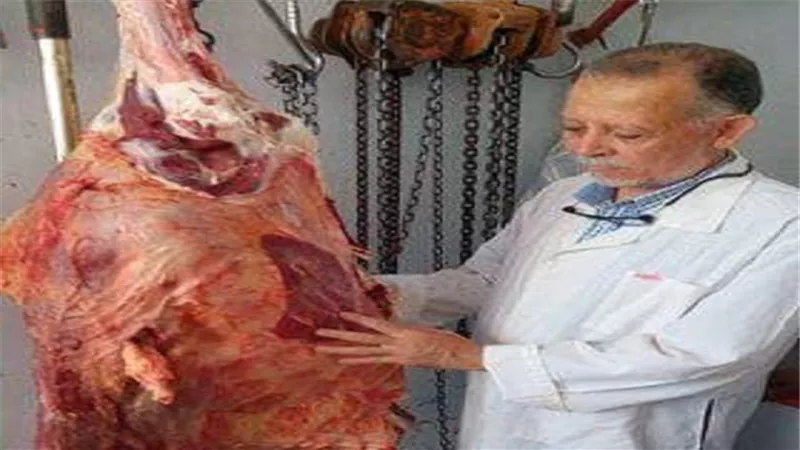 الطب البيطري.. حملات مكثفة على محال الجزارة ومستودعات اللحوم والاغذية بالدقهلية 