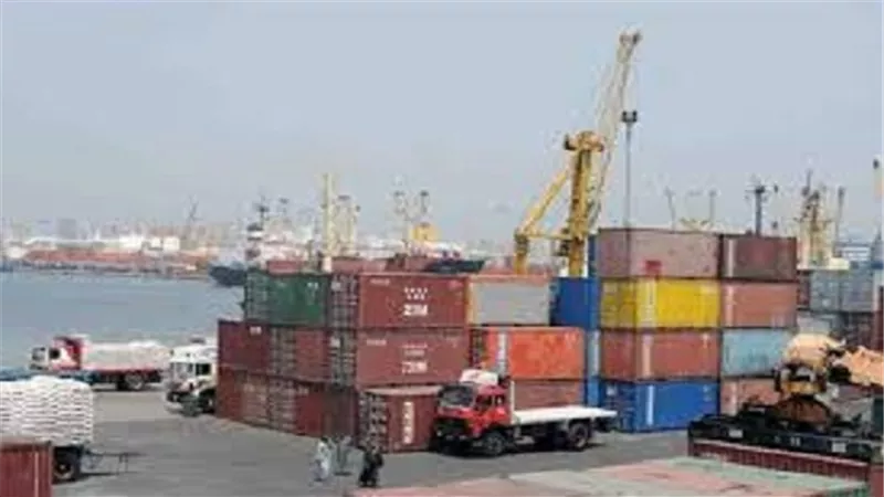 وصول 250 ألف طن غلال ومواد بترولية وفحم  إلى ميناء الإسكندرية