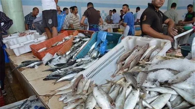 ضبط 120 كيلو اسماك ولحوم حمراء وبيضاء منتهية الصلاحية بالسويس