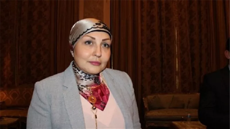برلمانية: لا يوجد خطة لدعم المشروعات المتوسطة والمشروعات الصغيرة 