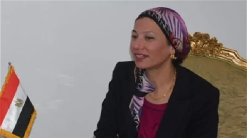وزيرة البيئة تبحث مع محافظ الغربية ازمة تراكمات القمامة واستعدادات مواجهة السحابة السوداء 