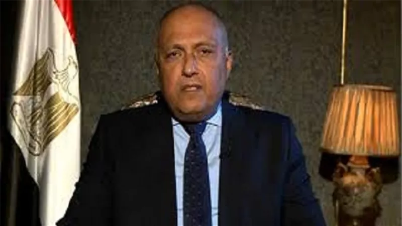 شكري يتوجه إلى بروكسل لحضور اجتماع المجموعة المصغرة بشأن سوريا