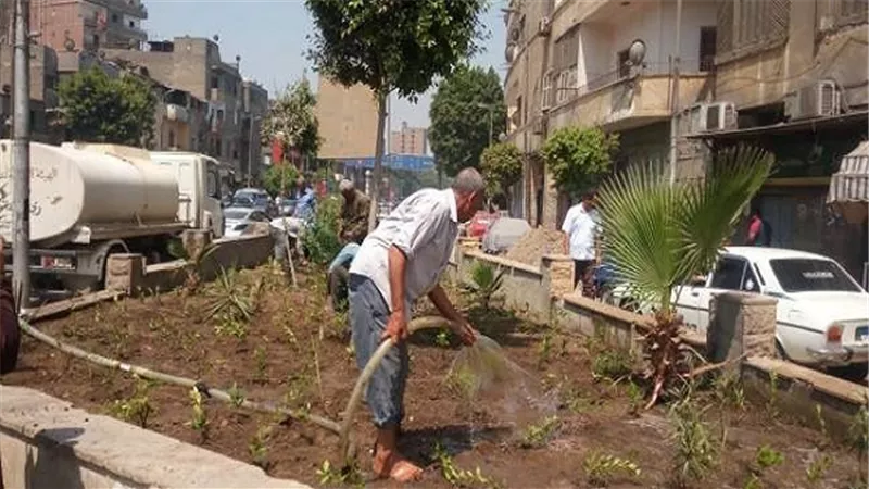 حملة لزراعة 1000 شجرة مثمرة بحى شمال الجيزة