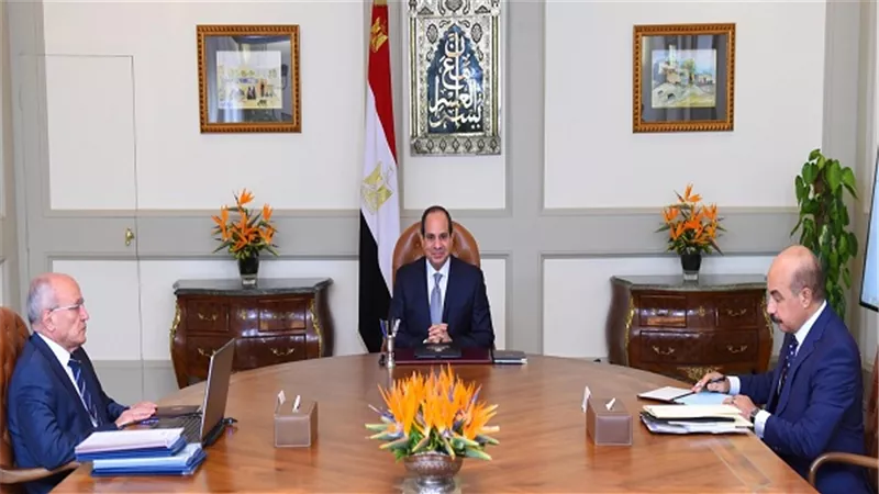 السيسي: أهمية الاستمرار في تطوير الشركات والمصانع التابعة لوزارة الإنتاج الحربي