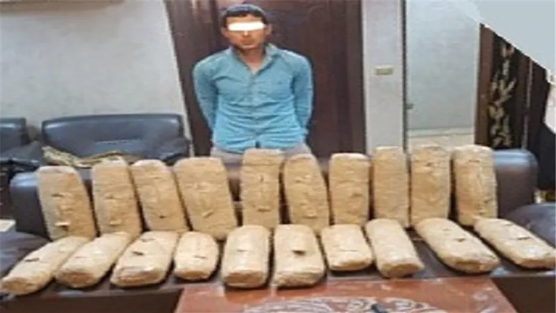 ضبط شخص بدائرة مركز شرطة طلخا وبحوزته 40 كيلو بانجو 