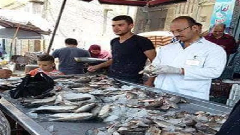 بالصورالطب البيطري.. حملات تفتيشية مكثفة على شوادر الاسماك ومحلات الجزارة بسنبلاوين دقهلية