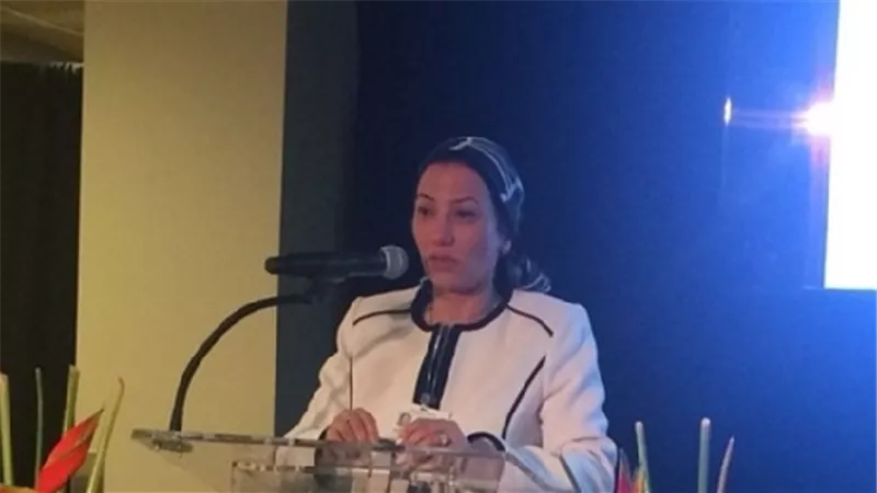 وزيرة البيئة تؤكد أن النمو الأخضر أحد أهداف التنمية المستدامة