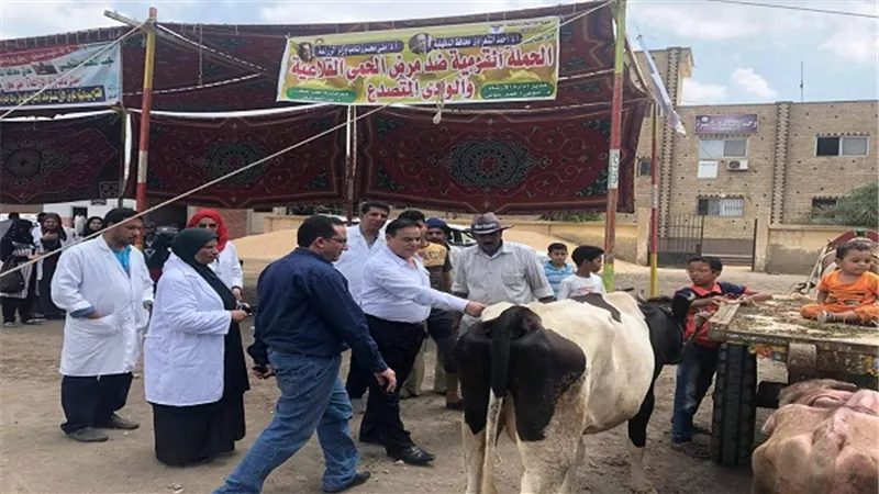 بالصور.. قوافل بيطرية مكثفة للعلاج والكشف المجاني بمراكز الدقهلية