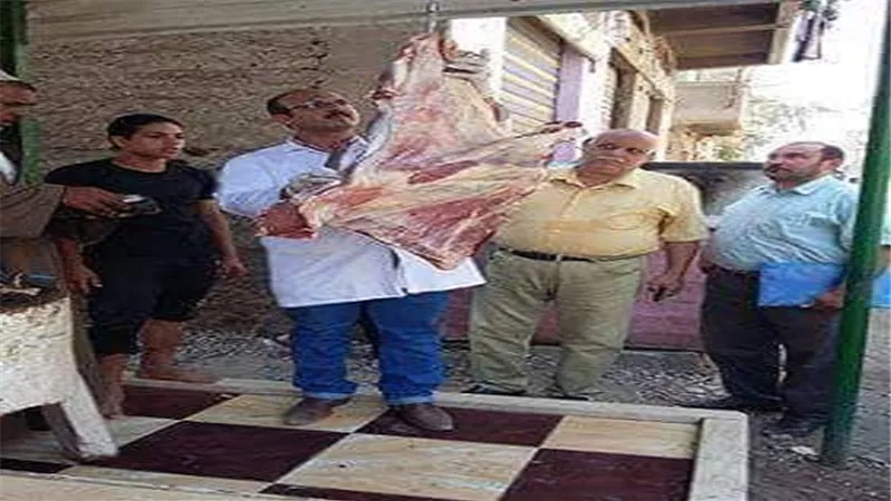 الطب البيطري.. حملات مكثفه وضبط كميات كبيرة من اللحوم المجمدة وغير صالحة للاستهلاك الادمي بالدقهلية