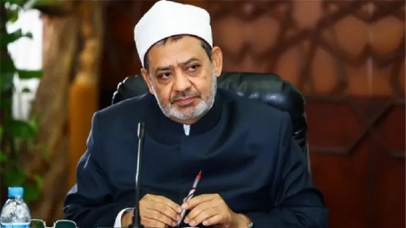 الإمام الأكبر لـ وزير المالية: وجود نظام مالي دقيق ومنضبط يحقق الشفافية