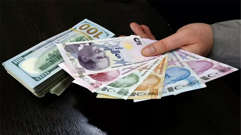 الليرة التركية 