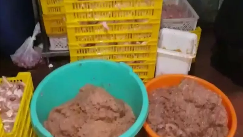 إحترس| ضبط 21 طن لحوم ودواجن غير صالحة بالمحافظات