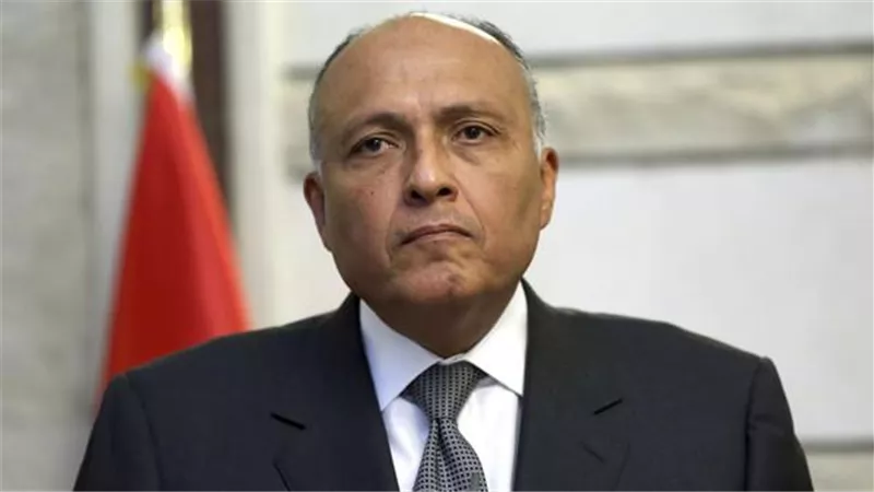 شكري: الإرهاب والتطرف يضاعفان من التحديات التي تواجه أغلب الدول النامية