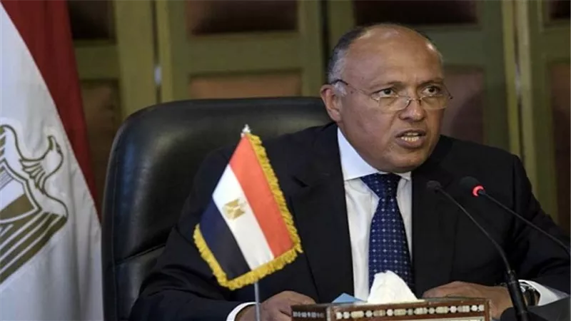 سامح شكري: مصر تقدر دور الصين كشريك إستراتيجي لأفريقيا 